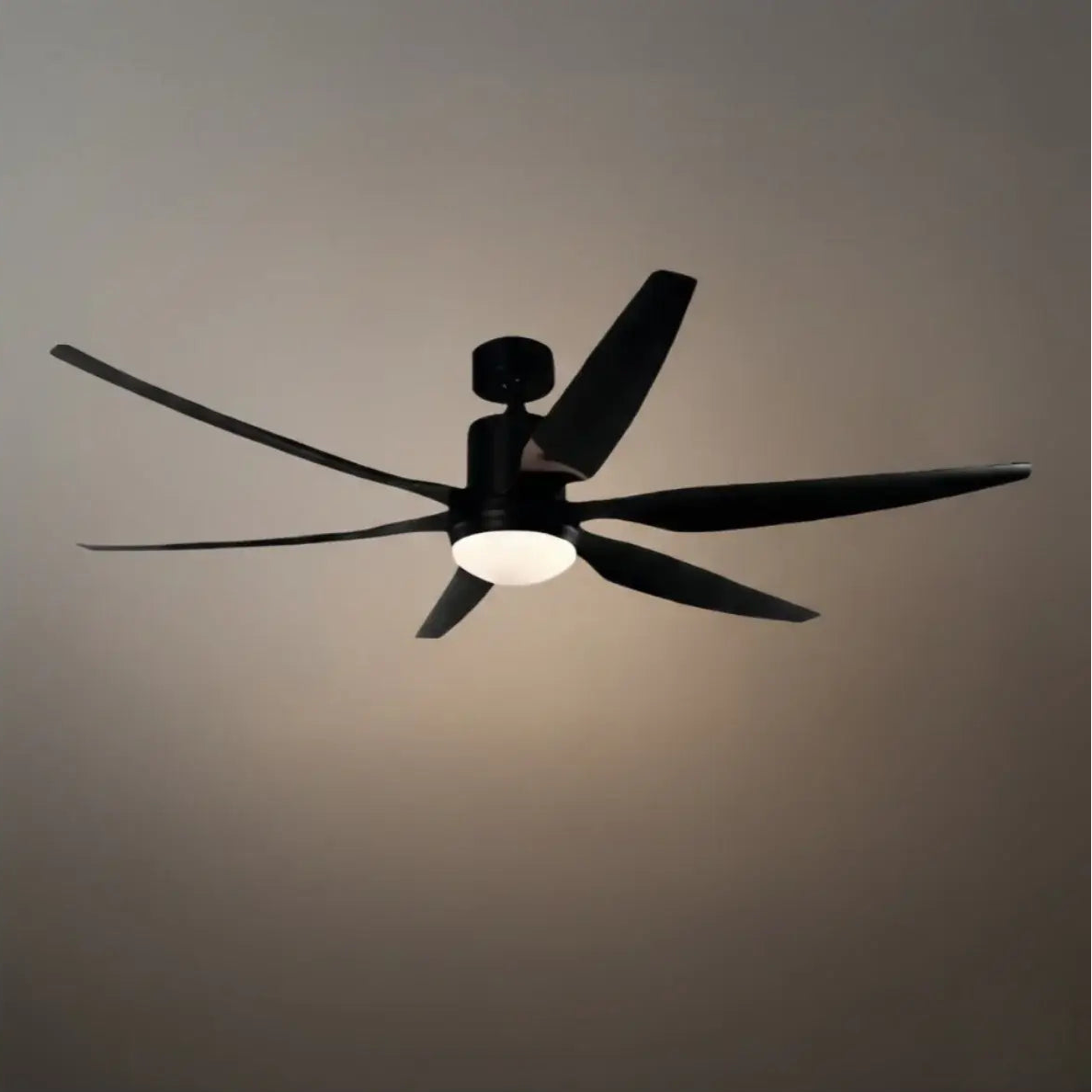 Morandia Modern Ceiling Fan Light